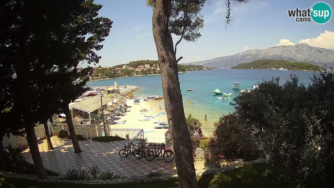 Camera en vivo Lumbarda – Playa Prvi Žal – Korčula