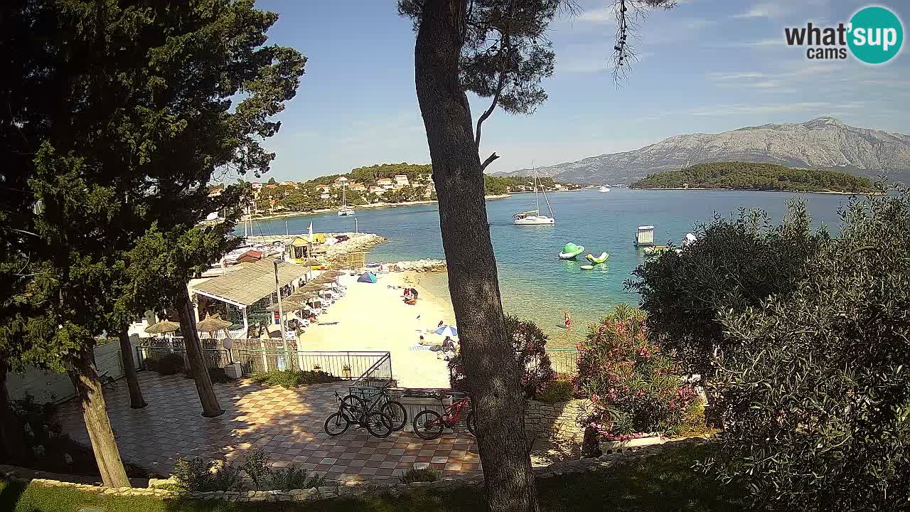 Camera en vivo Lumbarda – Playa Prvi Žal – Korčula