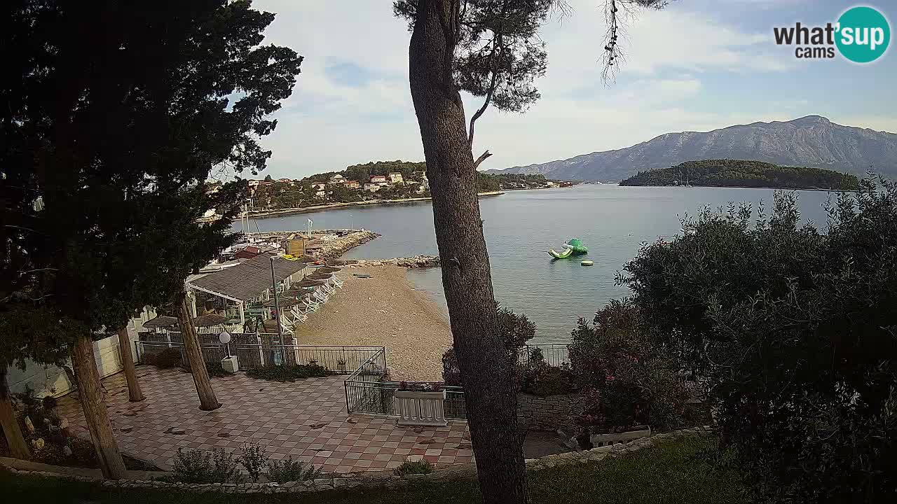 Camera en vivo Lumbarda – Playa Prvi Žal – Korčula