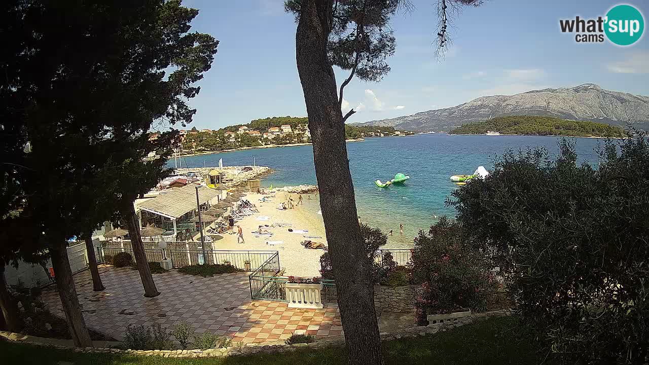 Camera en vivo Lumbarda – Playa Prvi Žal – Korčula