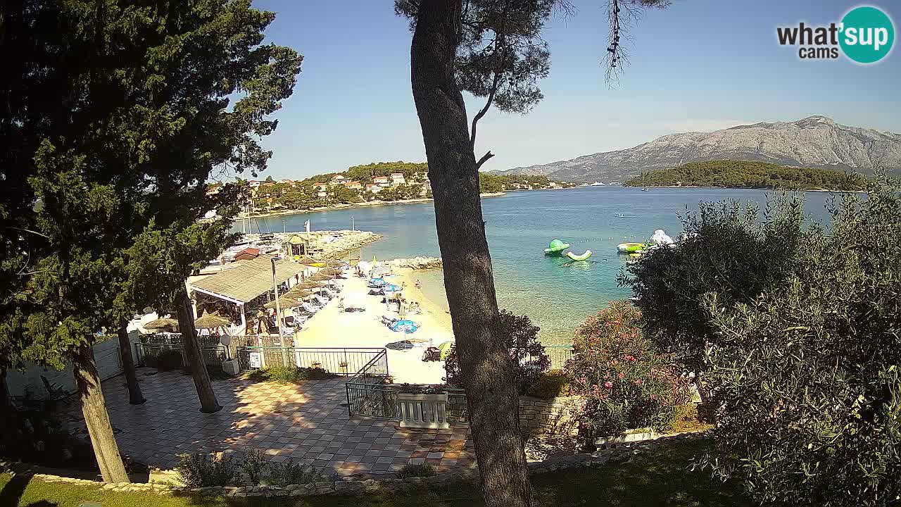 Camera en vivo Lumbarda – Playa Prvi Žal – Korčula