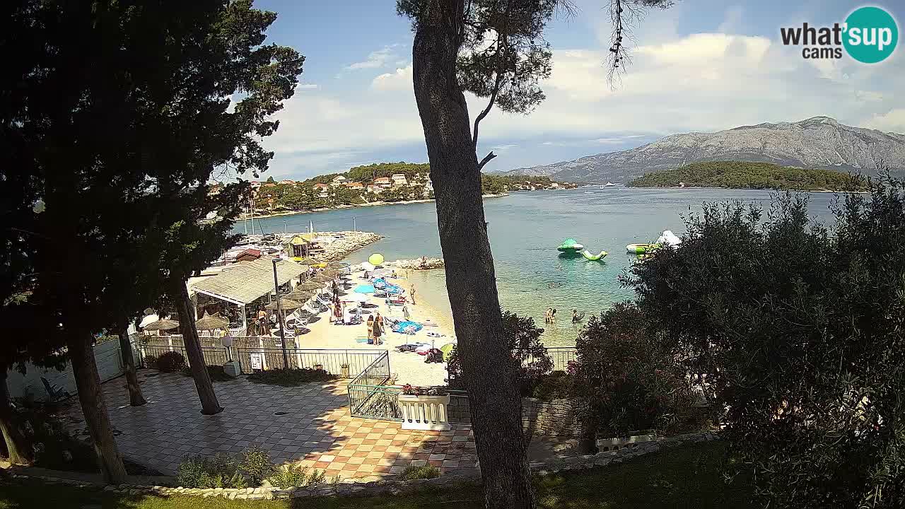 Camera en vivo Lumbarda – Playa Prvi Žal – Korčula