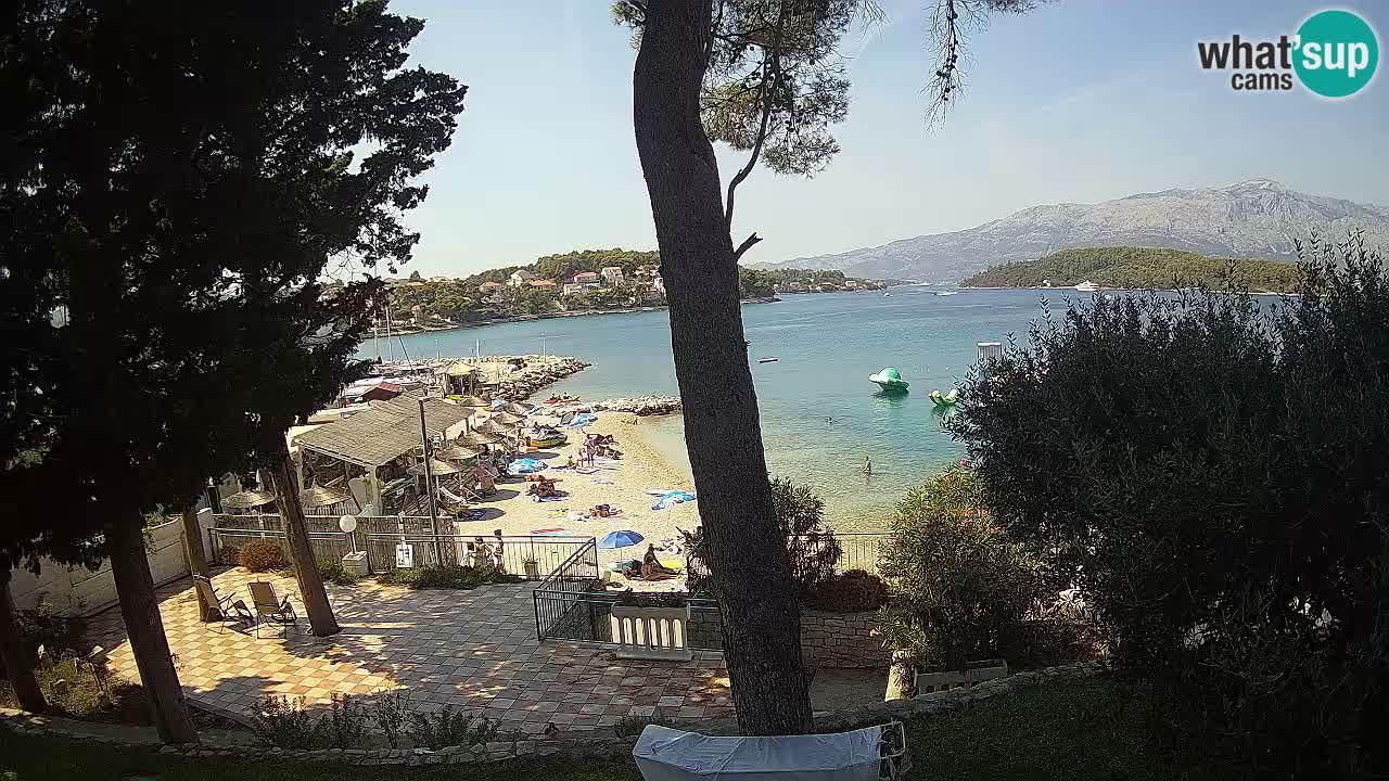 Camera en vivo Lumbarda – Playa Prvi Žal – Korčula