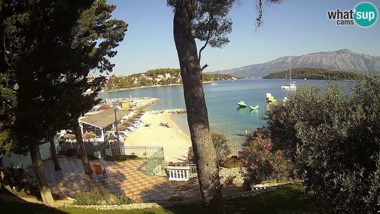 Camera en vivo Lumbarda – Playa Prvi Žal – Korčula