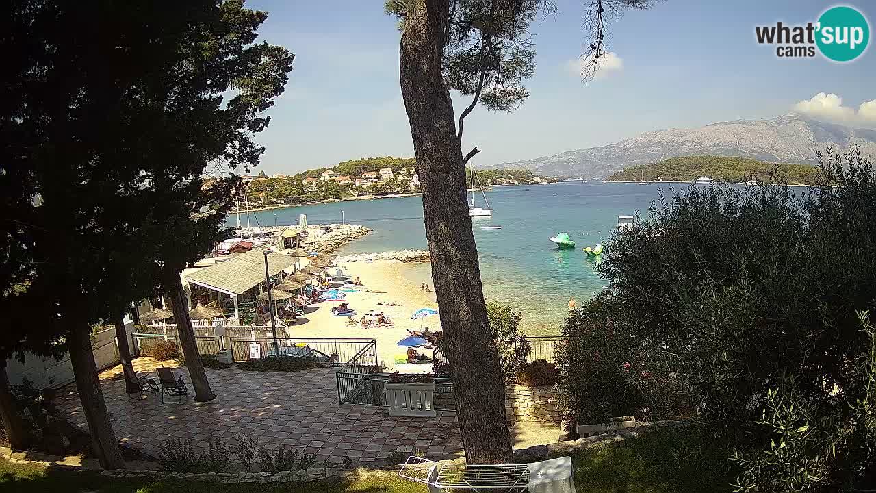 Camera en vivo Lumbarda – Playa Prvi Žal – Korčula