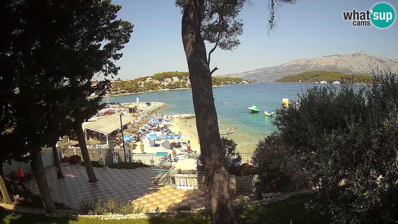 Camera en vivo Lumbarda – Playa Prvi Žal – Korčula