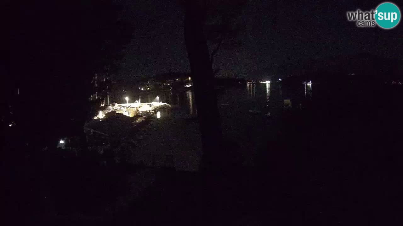 Camera en vivo Lumbarda – Playa Prvi Žal – Korčula