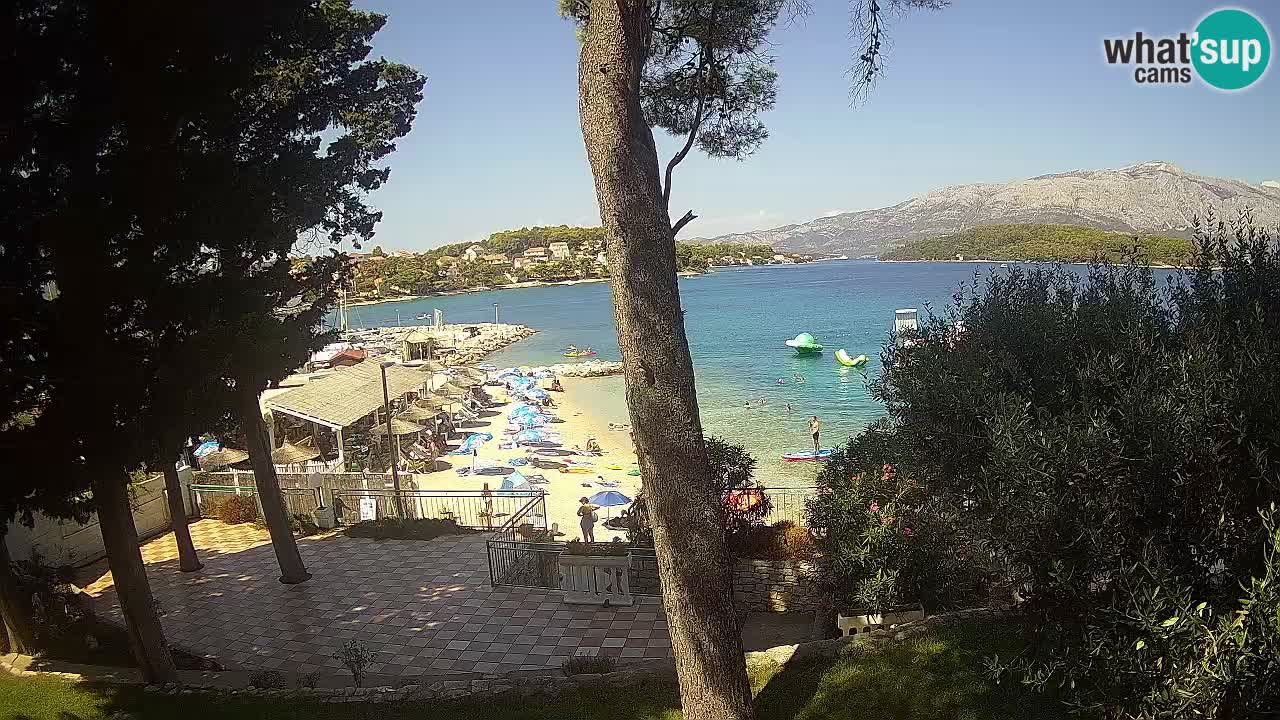 Webcam live Lumbarda – Plage Prvi Žal – Korčula