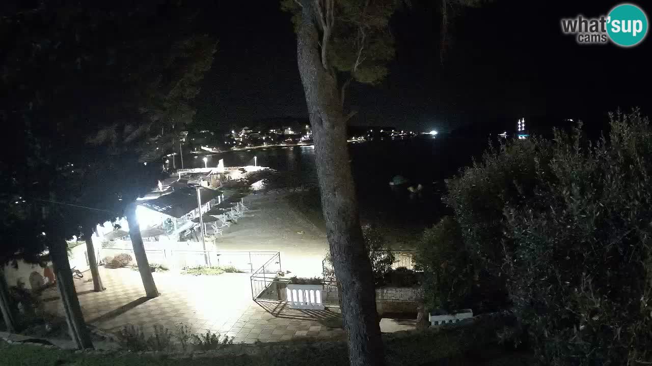Camera en vivo Lumbarda – Playa Prvi Žal – Korčula