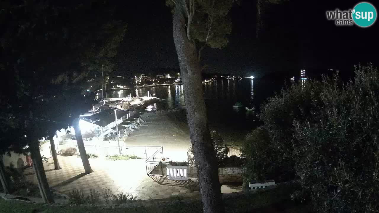Camera en vivo Lumbarda – Playa Prvi Žal – Korčula