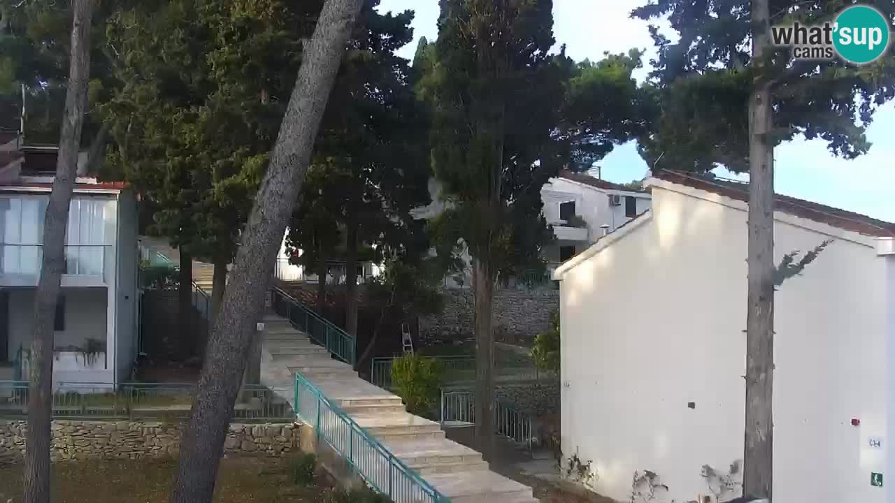 Lumbarda Resort camera en vivo Korčula