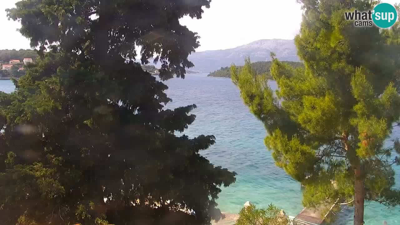 Lumbarda resort Webcam Korčula