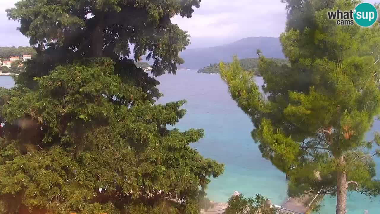 Lumbarda resort Web Kamera Korčula