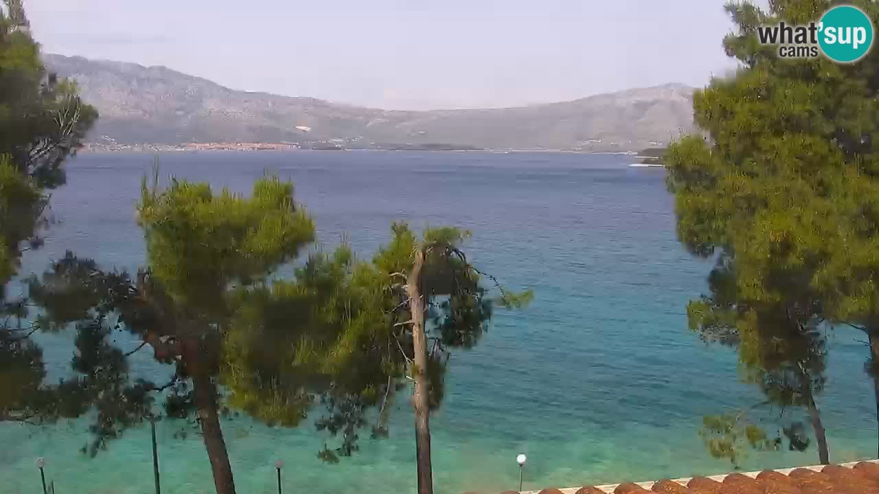 Lumbarda resort – livecam Korčula