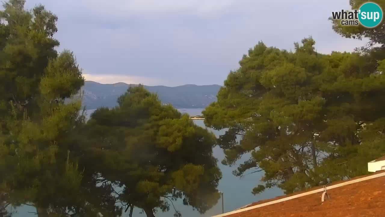 Lumbarda resort Web Kamera Korčula