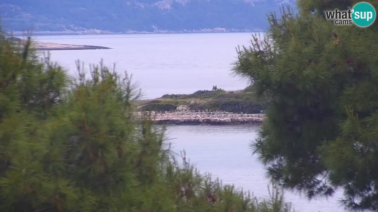 Lumbarda Resort camera en vivo Korčula