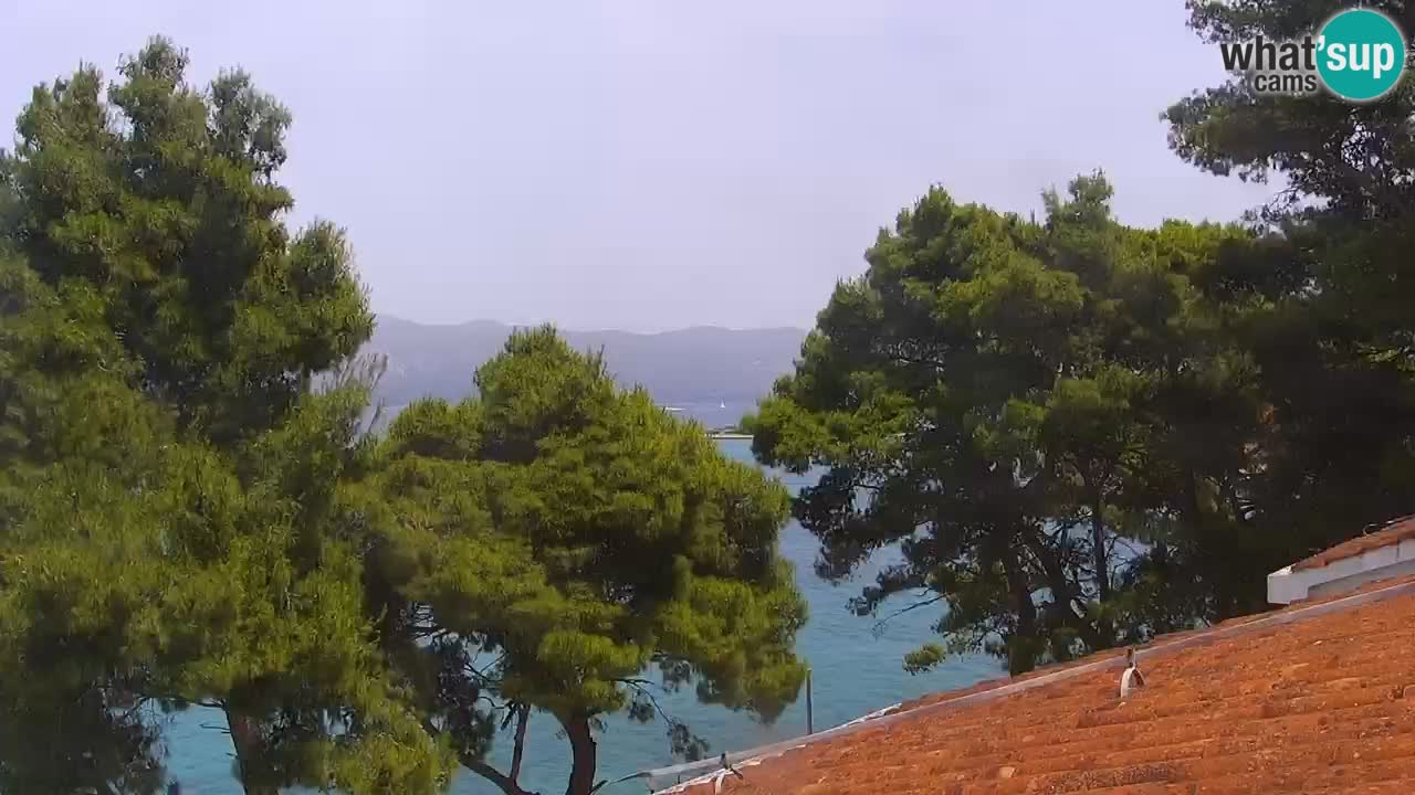 Lumbarda resort – livecam Korčula
