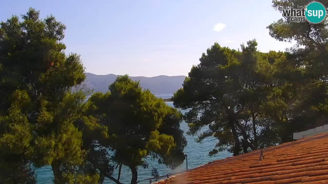 Lumbarda resort Spletna kamera Korčula