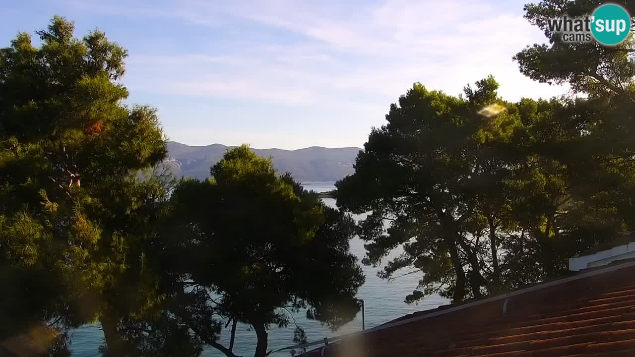 Lumbarda resort Webcam Korčula