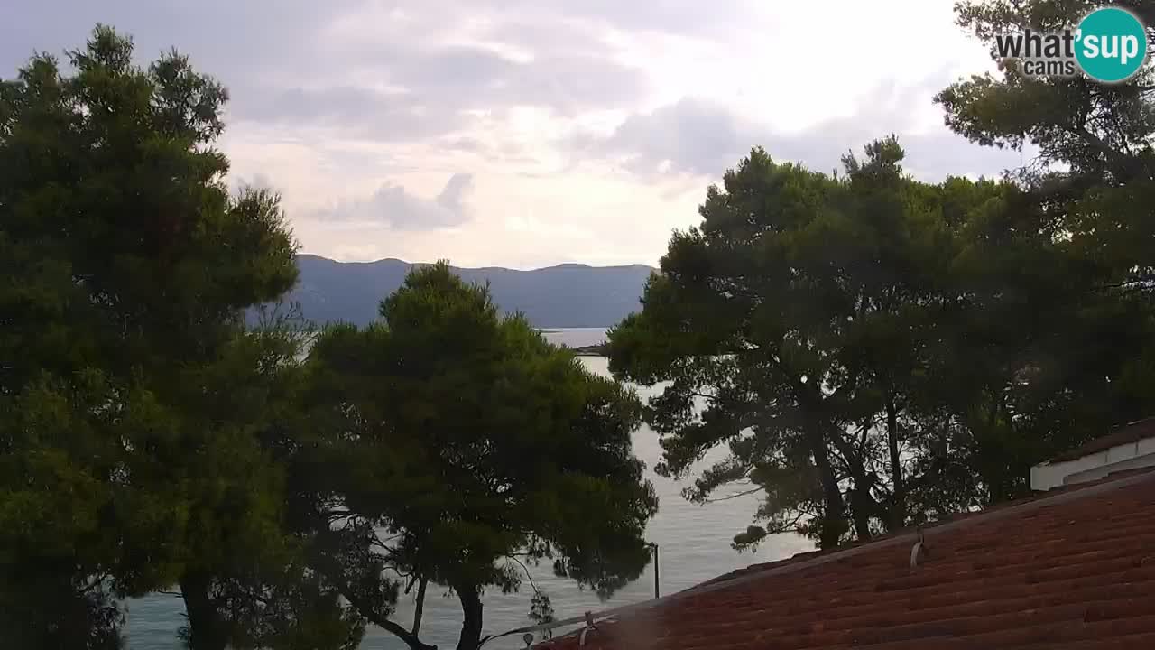 Lumbarda resort Webcam Korčula