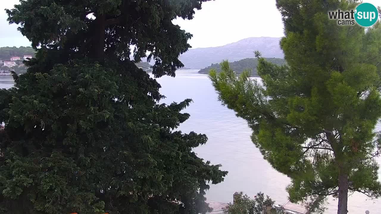 Lumbarda Resort live cam Curzola