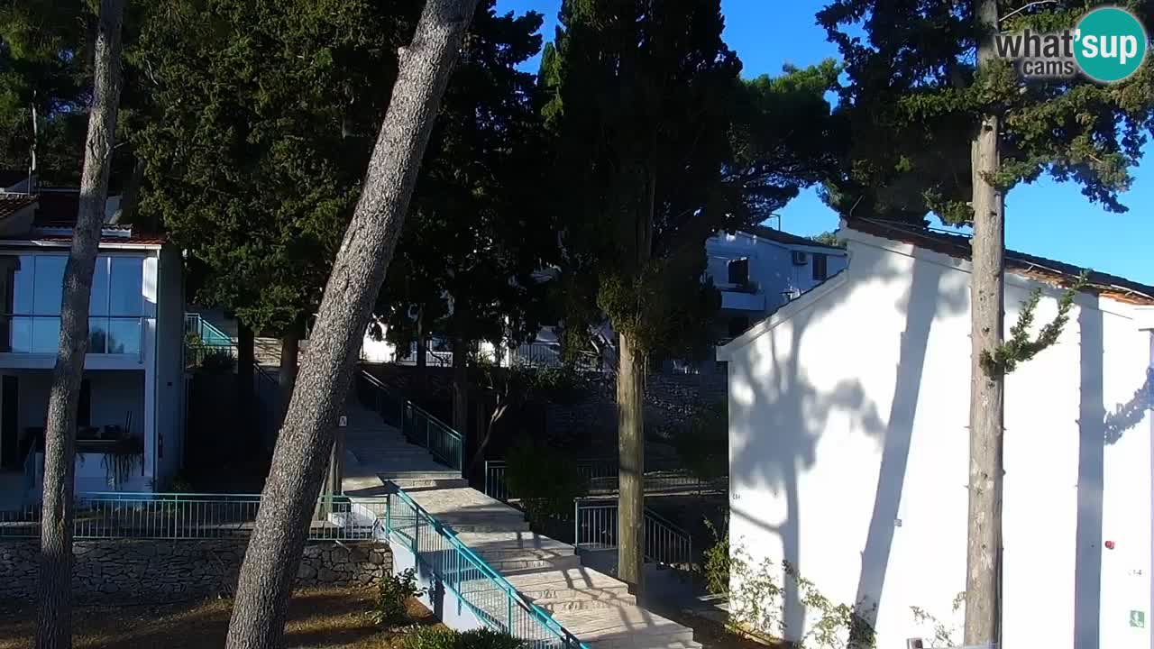 Lumbarda resort Webcam Korčula