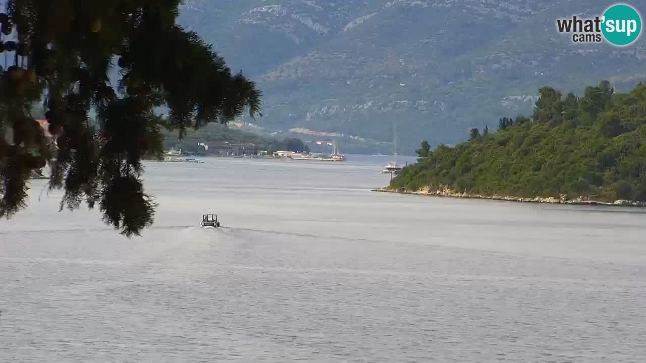 Lumbarda Resort camera en vivo Korčula