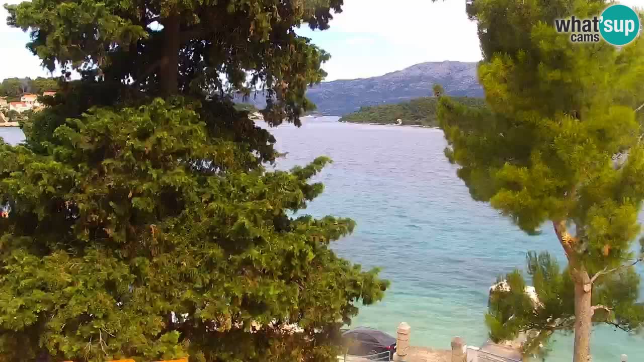 Lumbarda Resort camera en vivo Korčula