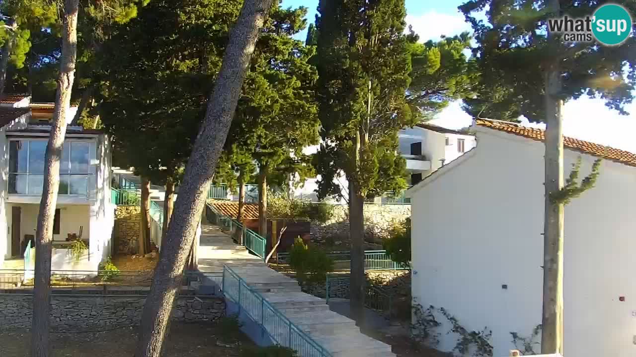 Lumbarda resort Spletna kamera Korčula