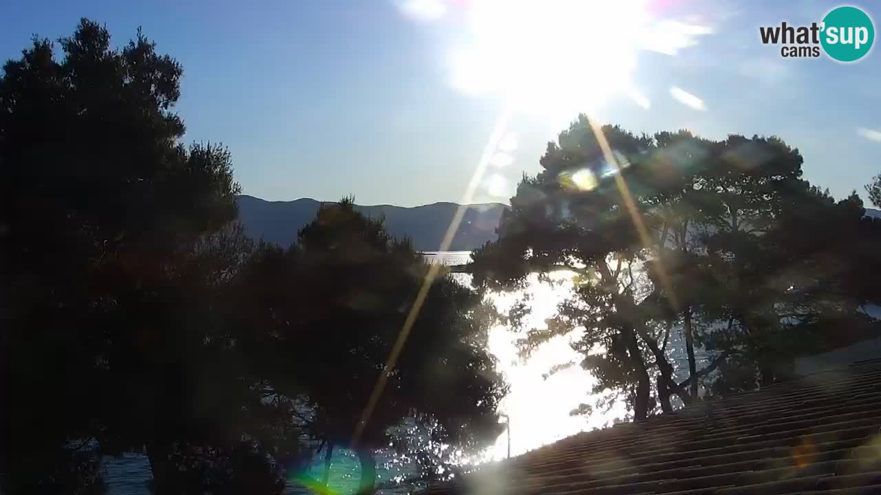 Lumbarda Resort webcam Kurzel