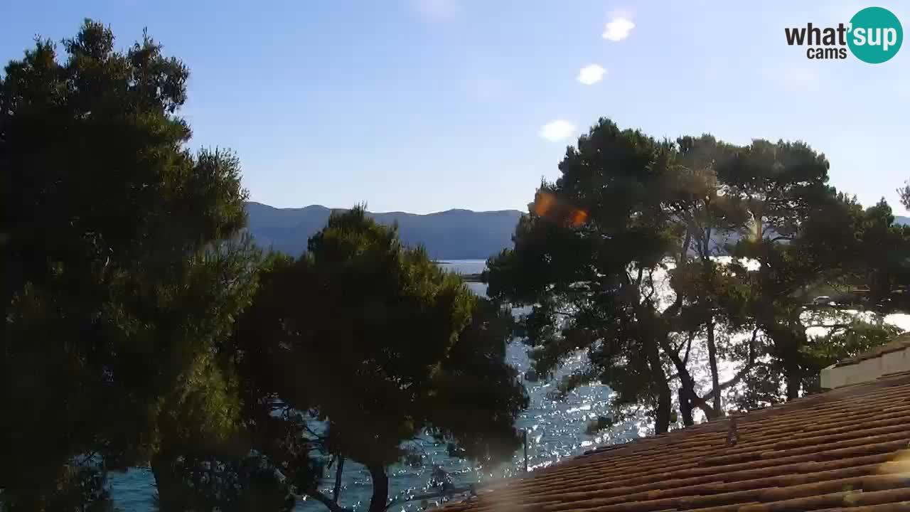 Lumbarda resort Web Kamera Korčula