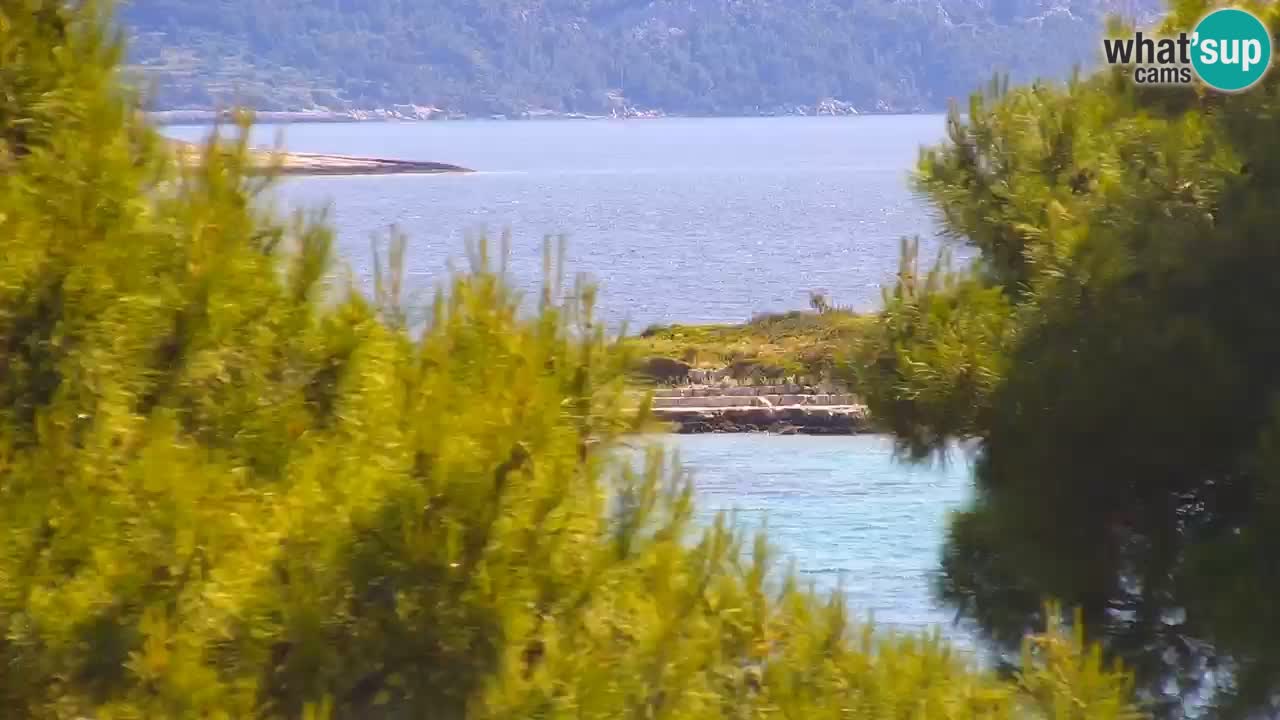 Lumbarda Resort live cam Curzola