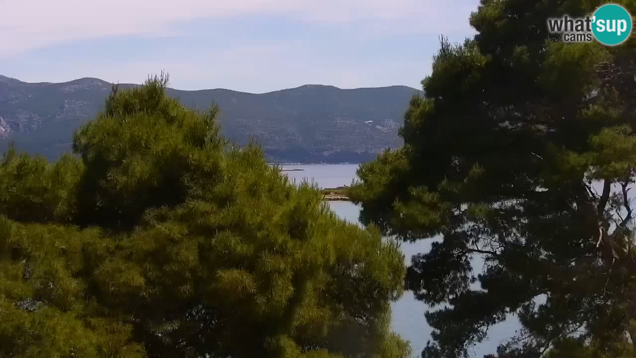 Lumbarda Resort camera en vivo Korčula