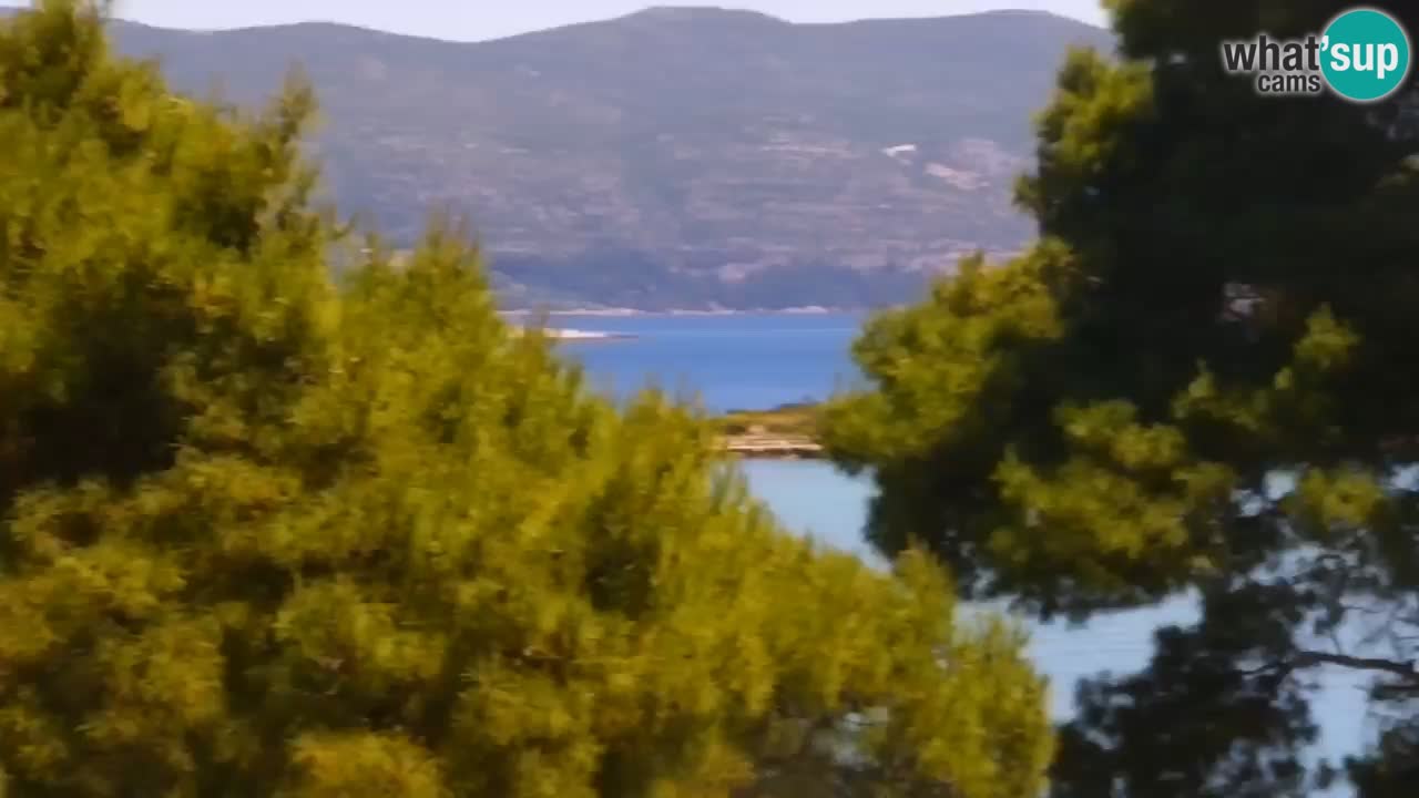 Lumbarda Resort webcam Kurzel