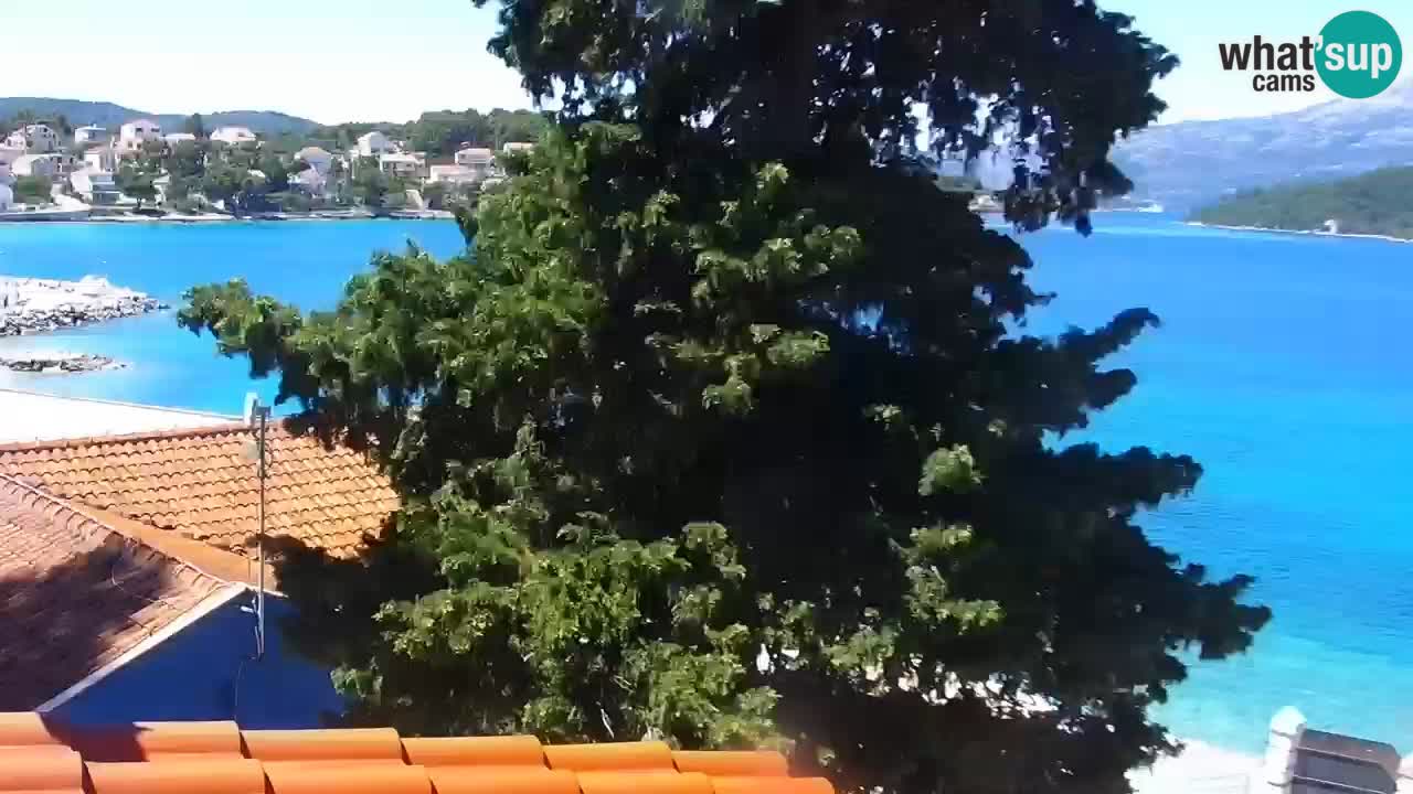 Lumbarda Resort camera en vivo Korčula