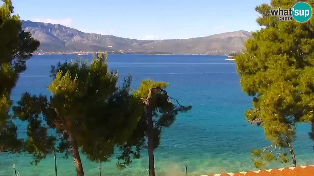 Lumbarda Resort live cam Curzola