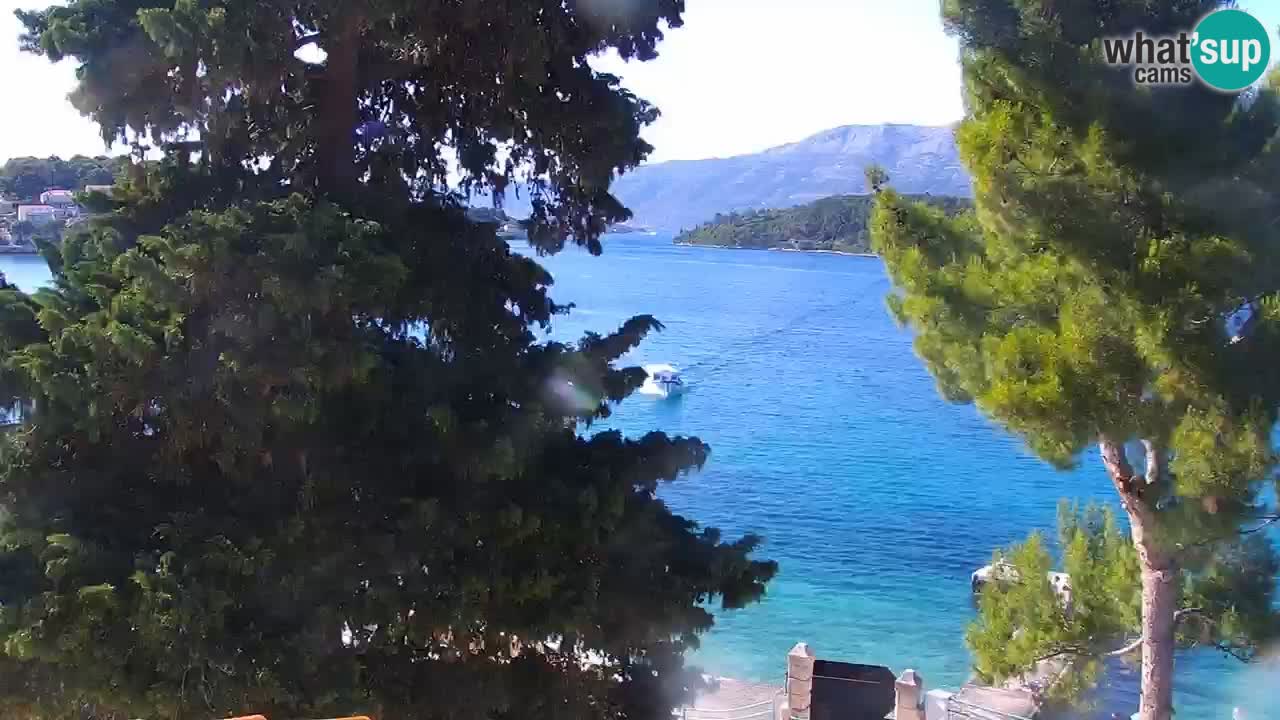 Lumbarda resort – livecam Korčula