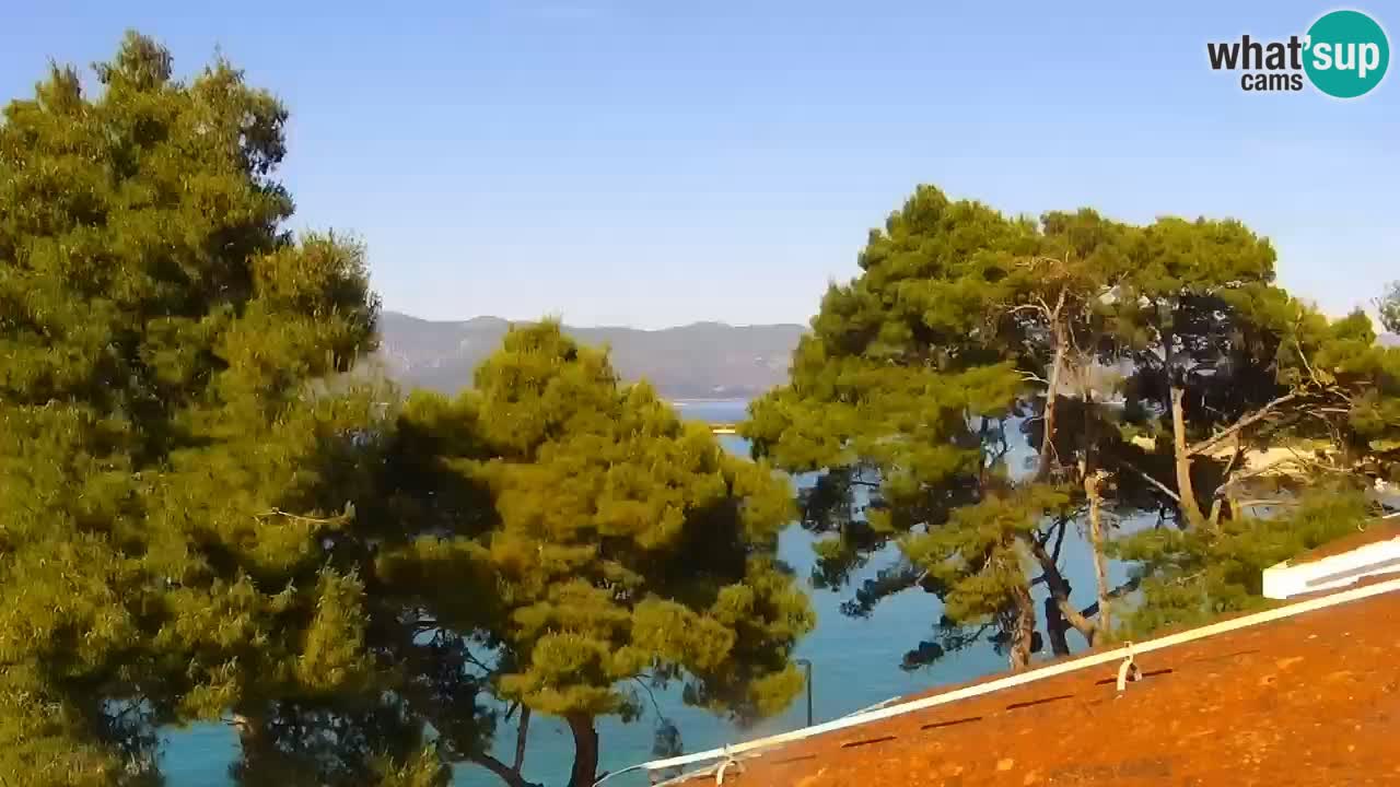 Lumbarda Resort camera en vivo Korčula