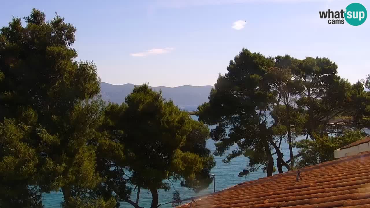 Lumbarda Resort live cam Curzola