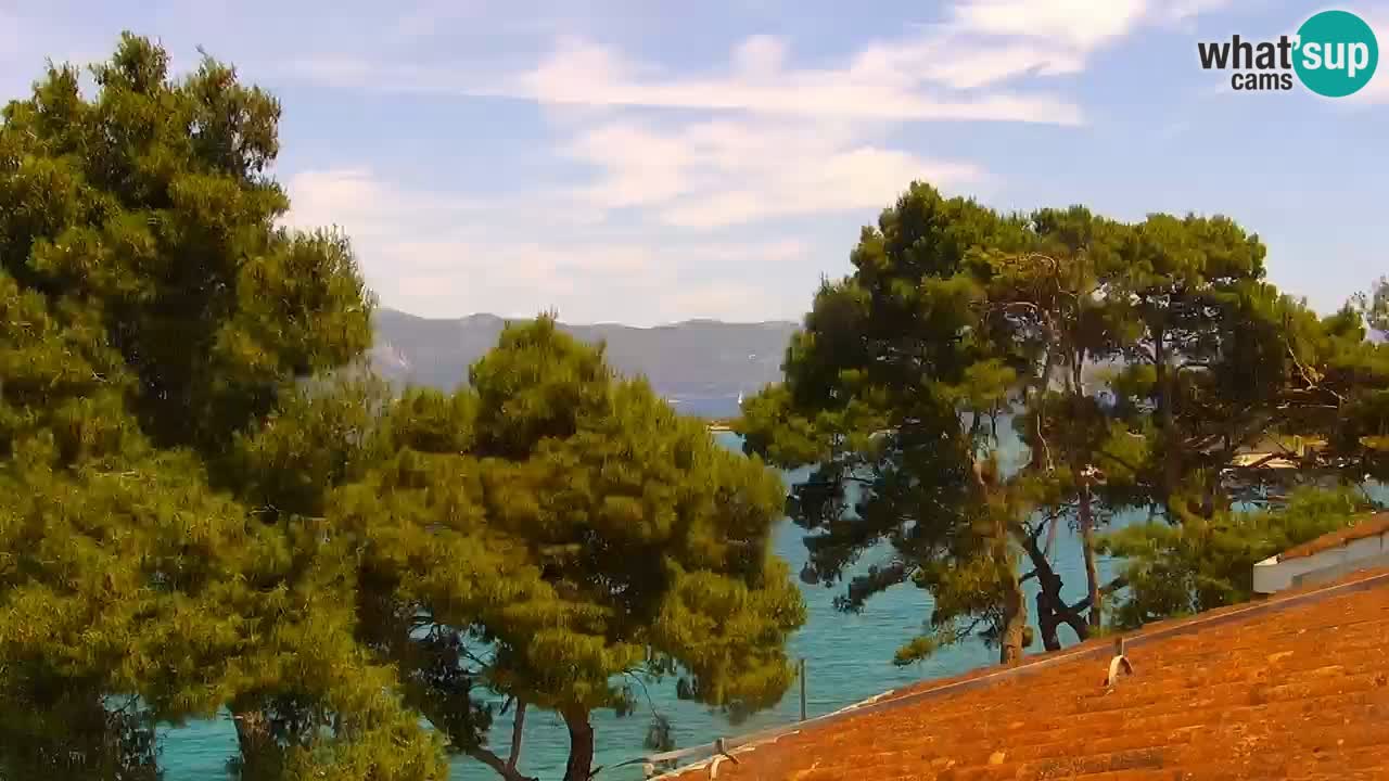 Lumbarda Resort camera en vivo Korčula