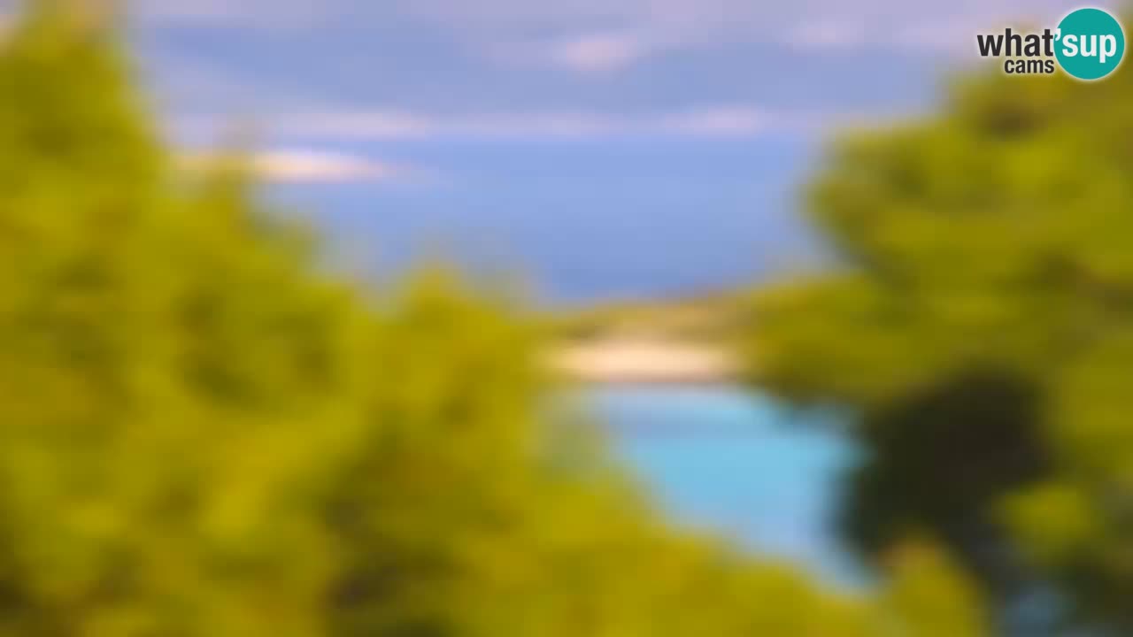 Lumbarda Resort live cam Curzola