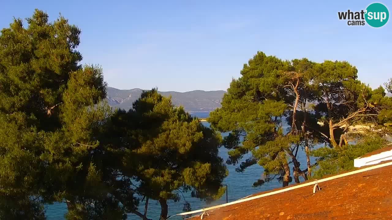 Lumbarda Resort webcam Kurzel