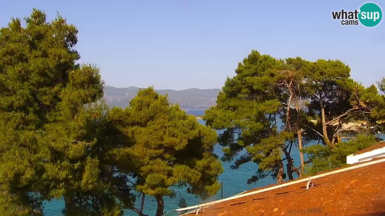 Lumbarda Resort webcam Kurzel