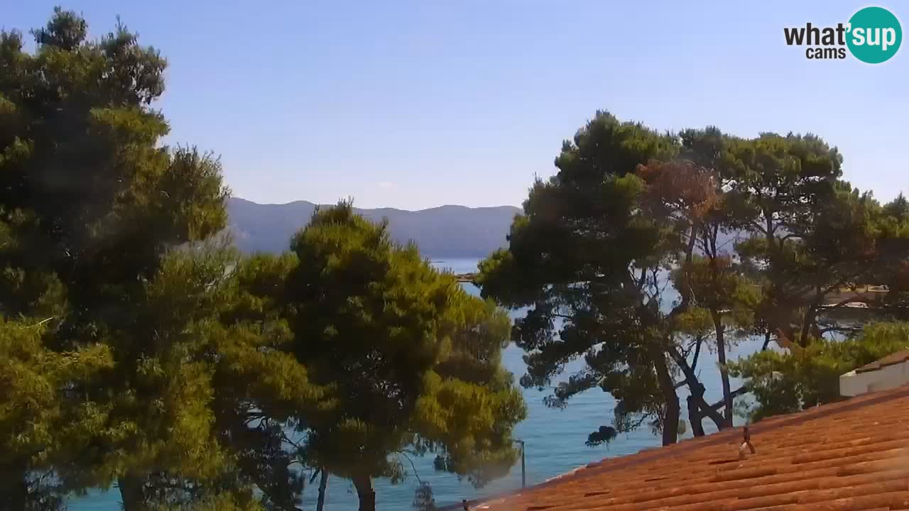 Lumbarda resort Webcam Korčula