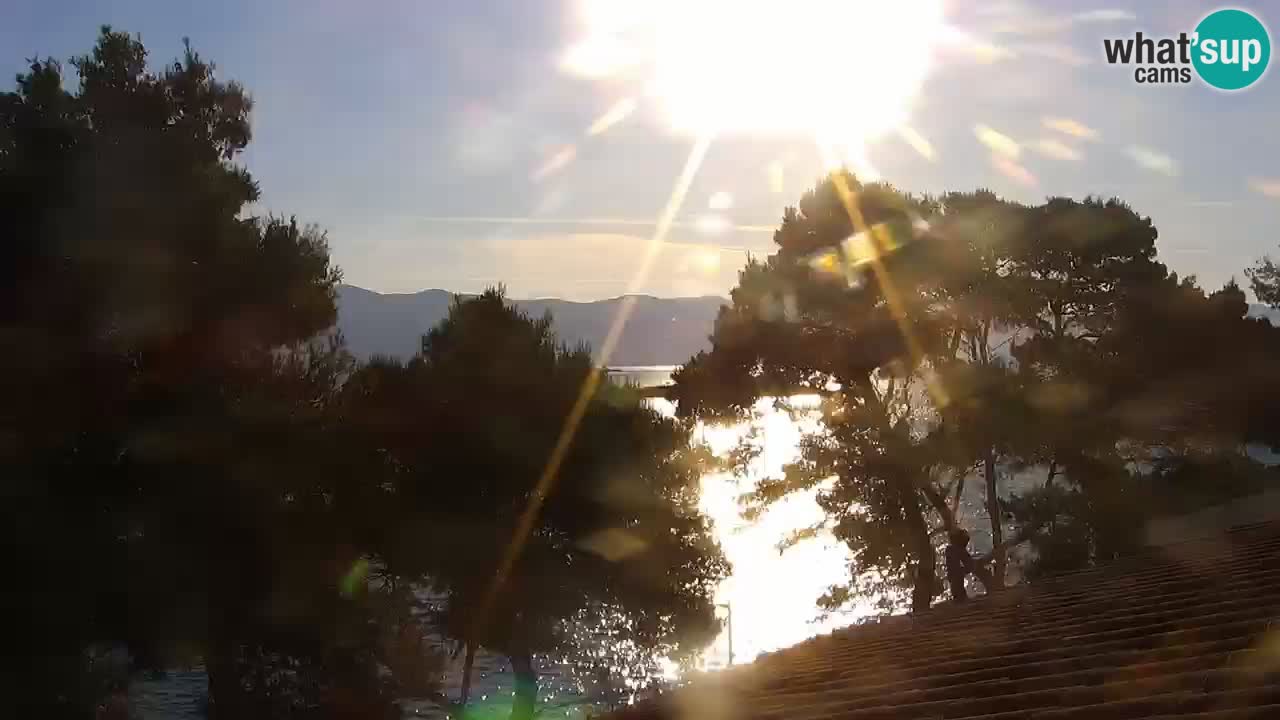 Lumbarda Resort camera en vivo Korčula