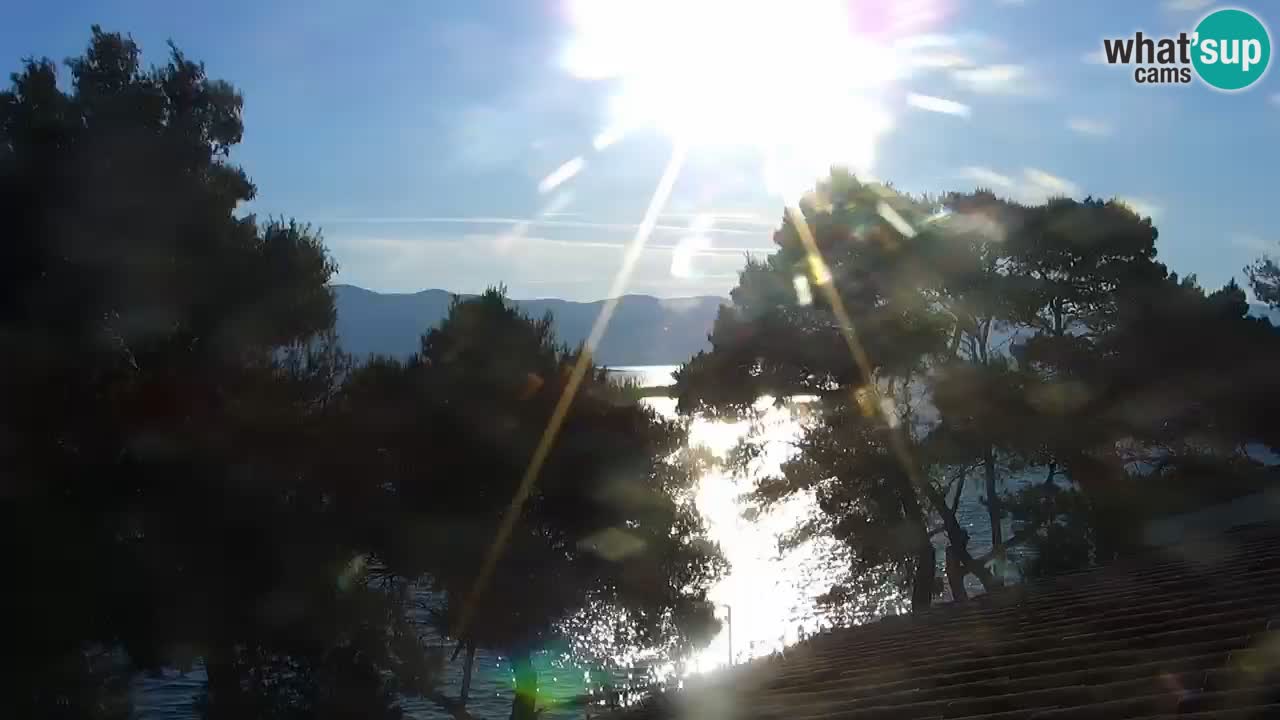 Lumbarda resort – livecam Korčula