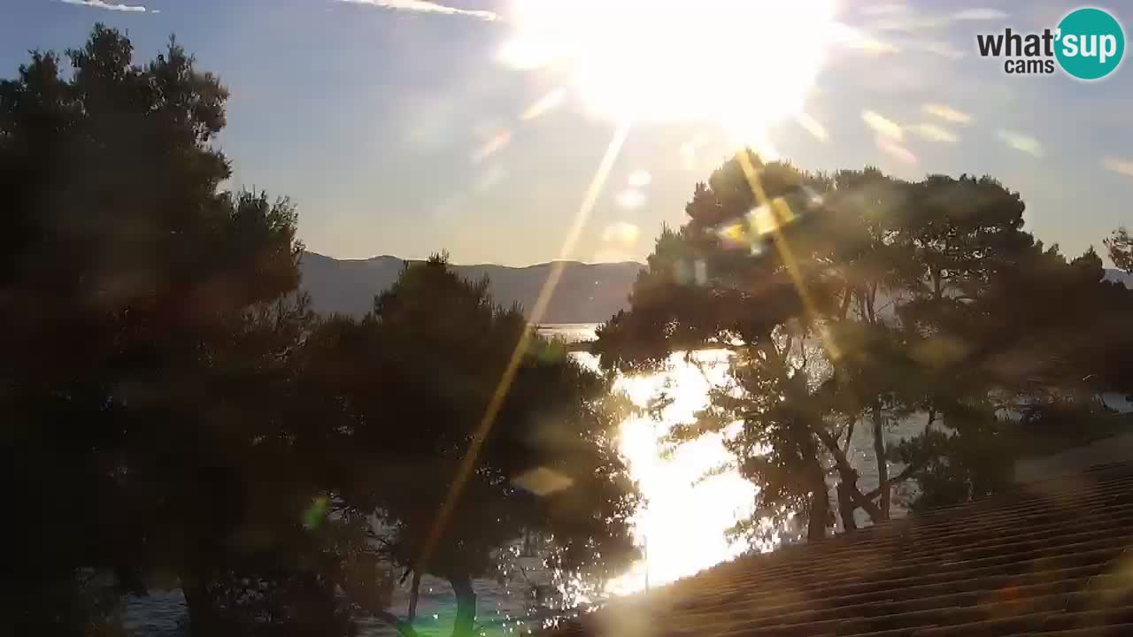 Lumbarda Resort camera en vivo Korčula