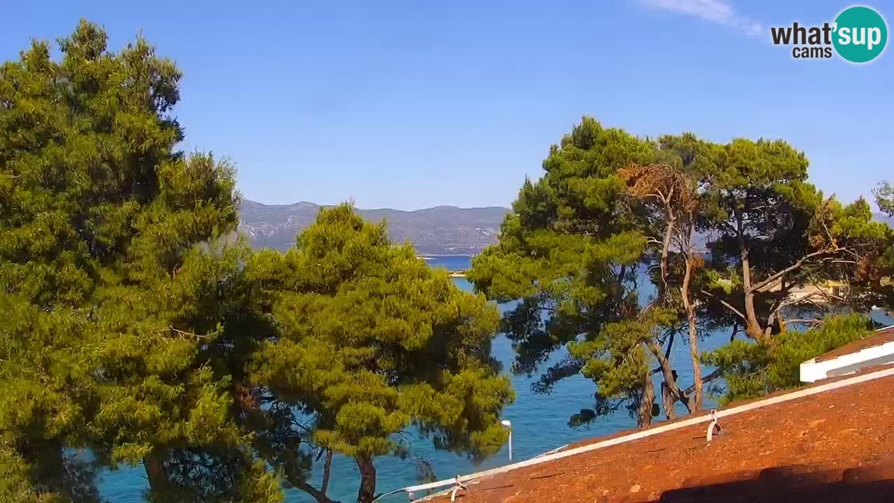 Lumbarda resort Webcam Korčula