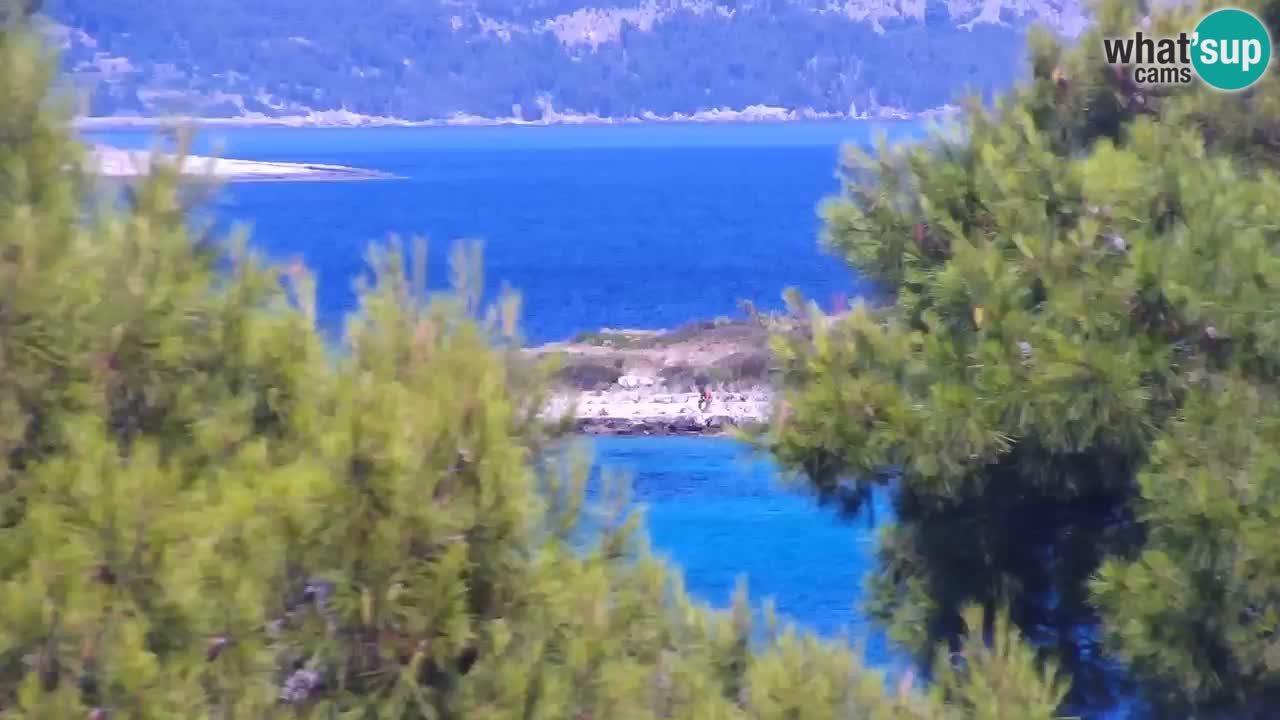 Lumbarda Resort live cam Curzola