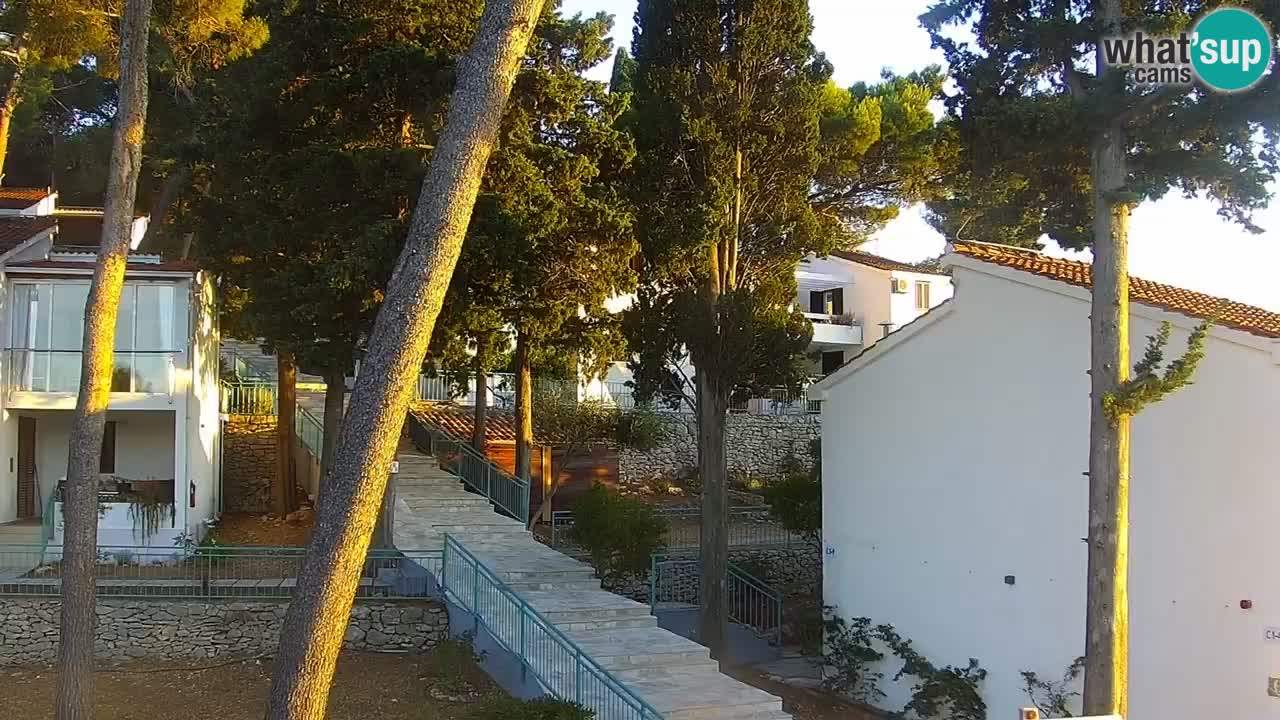 Lumbarda resort Webcam Korčula